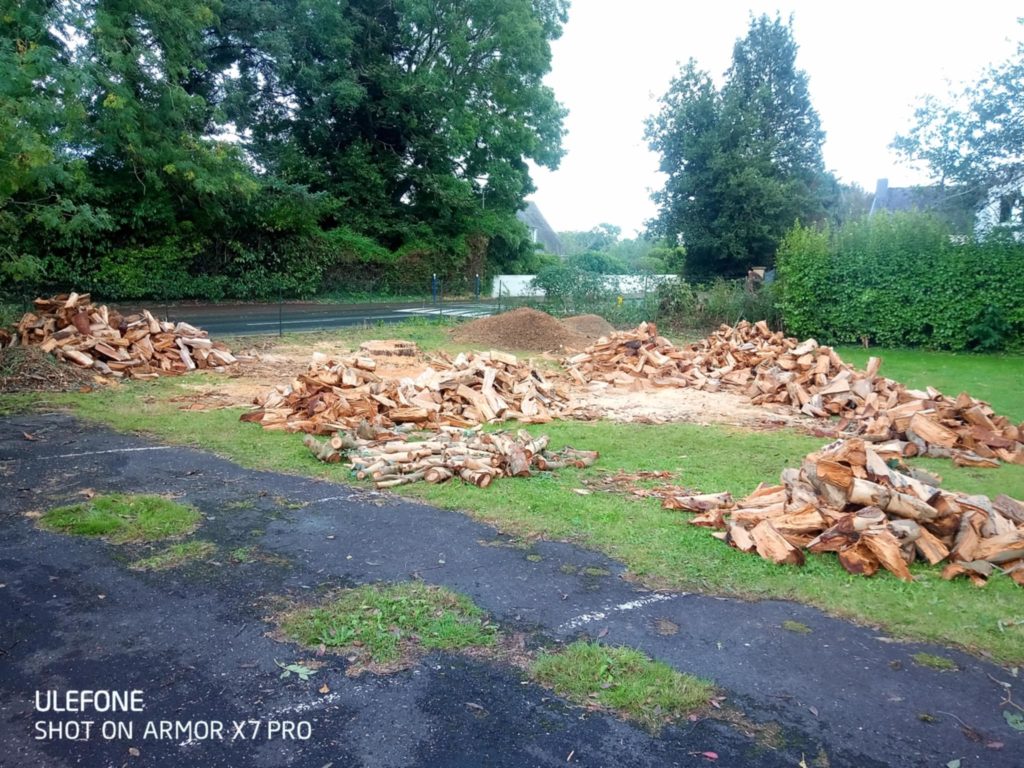 bois fendu Abattage par démontage kornog élagage Pays Bigouden élageur grimpeur